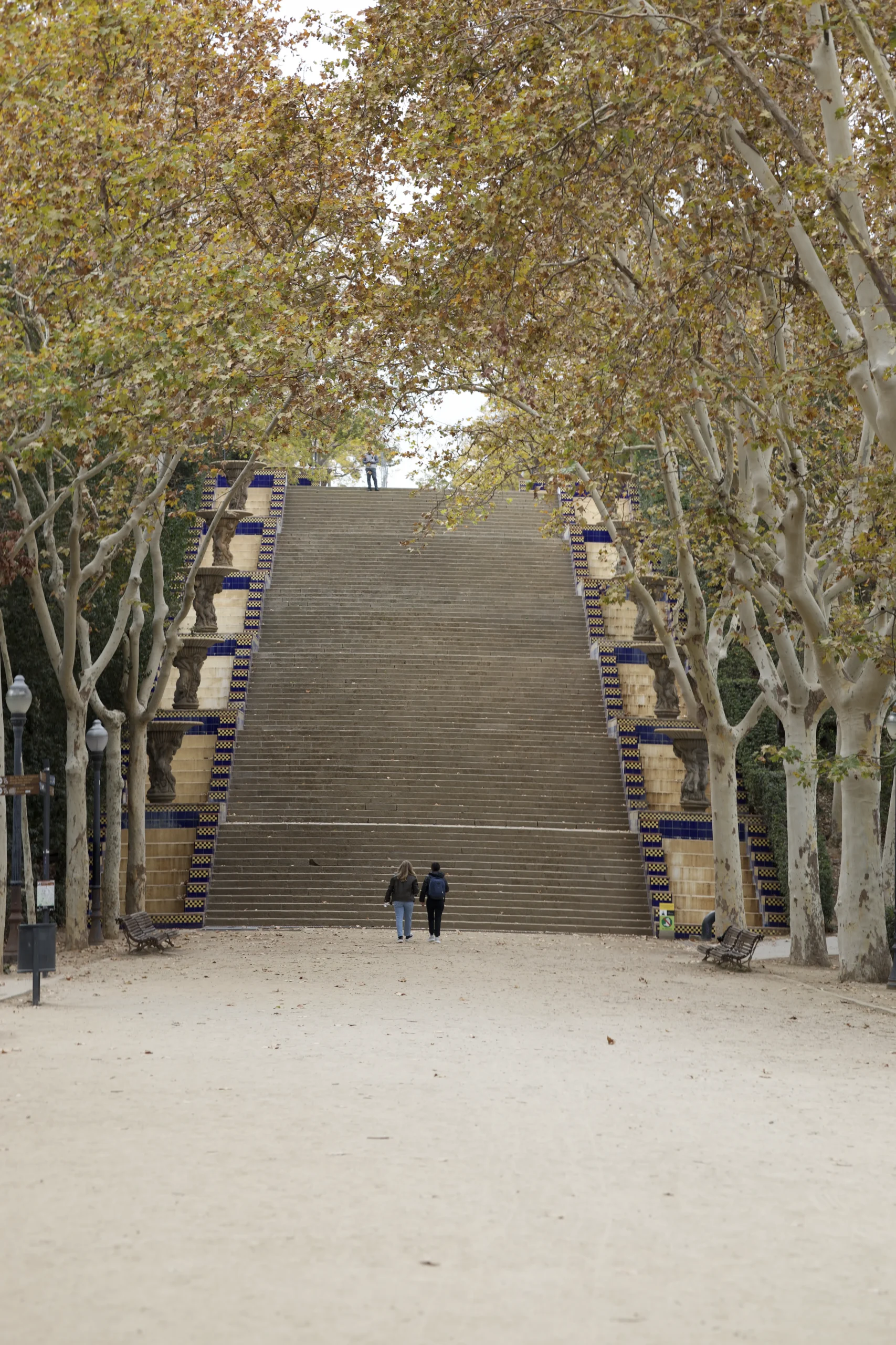 BARCA230445-Enhanced-SR