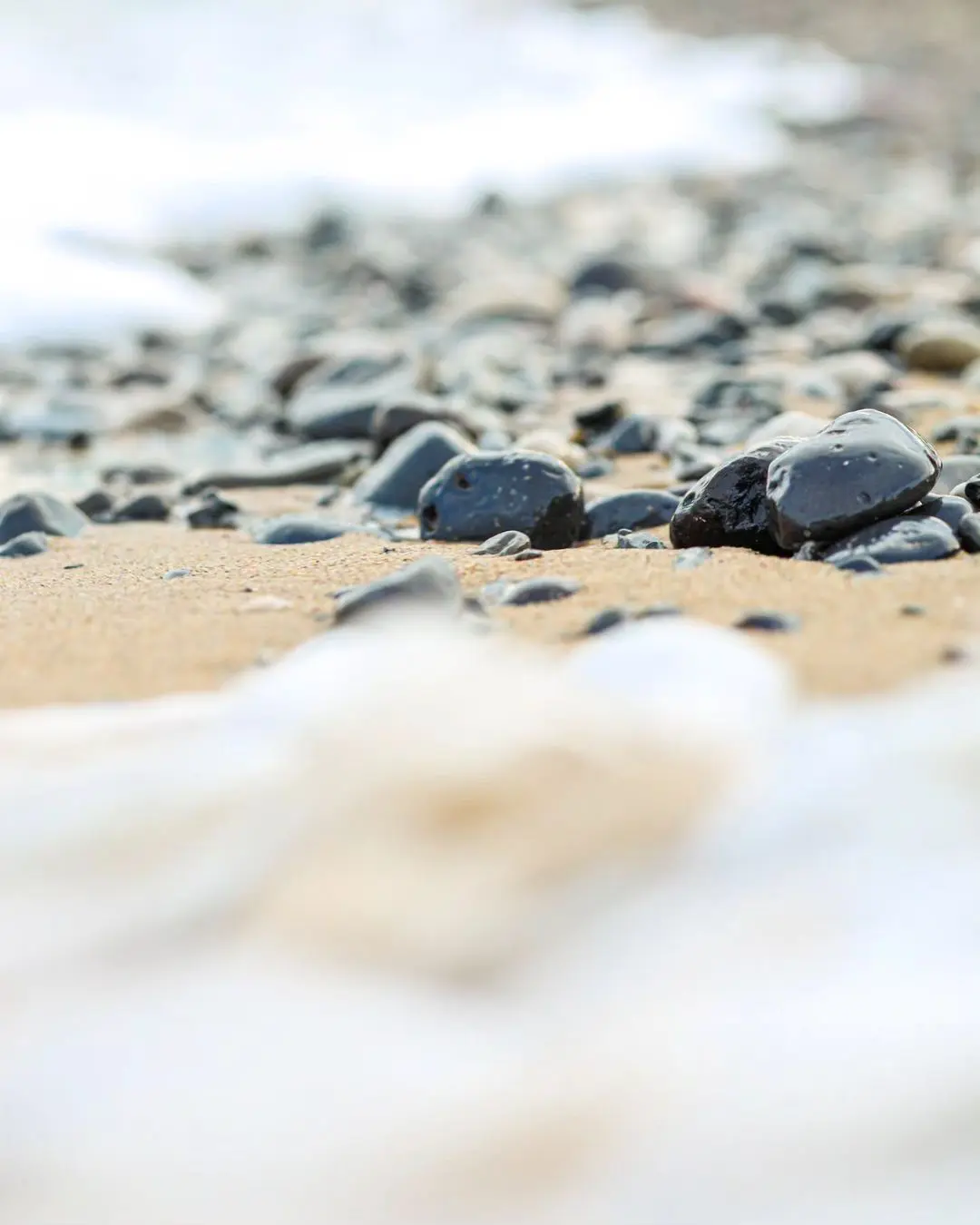 moksha1one_1710199043587